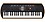 CASIO SA-76 KM15A Digital Portable Keyboard  (44 Keys) image 1