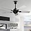Fanzart Penguin - Dual Toned Modern Special Wooden 5 Blades Ceiling Fan, 1220 mm Sweep, Wooden Decorative Ceiling Fan (Black and White) image 1