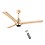 Orient Electric 1200 mm I Tome Remote| BLDC energy saving ceiling fan| BEE 5-star rated, consumes 26W at the highest speed| 3-year warranty by Orient| Topaz Gold image 1