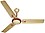 HAVELLS fusion 1200 mm 3 Blade Ceiling Fan  (Pearl Ivory Gold, Pack of 1) image 1
