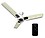 WHIFA Pro-1 Energy Efficient BLDC Remote Controlled Ceiling Fan with VVC Technology 1200 MM (Ivory) image 1
