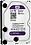 WD Purple Surveillance 2 TB Surveillance Systems Internal Hard Disk Drive (HDD) (WD20PURX)  (Interface: SATA, Form Factor: 3.5 inch) image 1