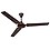 Polycab Maven Economy 1200 mm High speed Ceiling Fan(Smoke Brown Copper) image 1