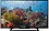Sony Bravia KLV-32R202F 80 cm (32 inch) HD Ready LED TV (Black) image 1