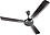 Anchor by Panasonic Eco Breeze High Speed Energy Efficient BLDC Ceiling Fan with Remote | 3 Blade Ceiling Fan | 5 Star Rated 1200mm (48 Inch) Ceiling Fan (2 Yrs Warranty) (Mocha, 14143MCH) image 1