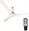 Atomberg Efficio Energy Saving 5 Star Rated 1400 mm BLDC Motor with Remote 3 Blade Ceiling Fan  (Ivory, Pack of 1) image 1