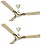 HAVELLS Nicola - Pack of 2 1200 mm 3 Blade Ceiling Fan  (Gold, Pack of 2) image 1