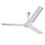 Polycab Glory HS Economy High Speed Ceiling Fan (Pearl White, 1200 MM) image 1