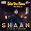 Generic Pen Drive - Hits of Shaan // Bollywood // USB // CAR Song // 450 MP3 Audio // 16GB image 1