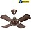 CITRON CF002 (Pack of Two) 4 Blade Ceiling Fan  (Brown) image 1