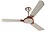 Bajaj Austrim 1200 mm Premium Ceiling Fan (Kashmir Beige) image 1