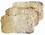 Grass Air Cooler Cooling Pads, Wood Wool for air Coolers (24 x 24 inch, Brown) - Set of 3 image 1