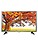 LG 49UH650T 123 cm (49 inches) 4K Ultra Smart HD LED IPS TV (Black) image 1