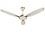 Anchor 1200 MM Flora Decorative Ceiling Fan (ivory) image 1
