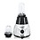 Rotomix 600-watts Mixer Grinder with 2 Bullets Jars (530ML and 350ML) EPMG508,Color Black-Silver image 1