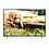 YUWA 81.28 cm (32 Inches) Full HD Smart Android LED TV NTY-32S-SB (Black) (2020 Model) image 1