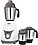 Inalsa Cosmo 550-Watt Mixer Grinder with 3 Jars (White) image 1