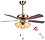 Hans Lighting Ceiling Fan with Light, 5 Wood Blade (48 Inch) image 1