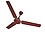 Polycab Annular DLX 1200mm 1200 mm 3 Blade Ceiling Fan(Luster Brown Copper Bronze, Pack of 1) image 1