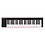 Nektar SE49 49-Key Full-Size Velocity-Sensitive USB Midi Keyboard Controller with Nektar DAW Integration and Free Professional Recording Software image 1