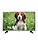 LG 80cm (32 inch) HD Ready LED Smart TV (32LH576D) image 1