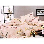 Sweet Dreams Designer Double Bedsheet With 2 Pillo w Covers (TD-5540)
