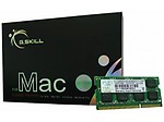 Gskill 4Gb X 1 Ddr3 1066Mhz Cl7 Value Ram For Laptop (For Apple Mac)