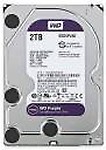 WD SATA 2 TB Surveillance Systems Internal Hard Disk Drive (Western Digital Purple Internal Surveillance (WD20PURZ))