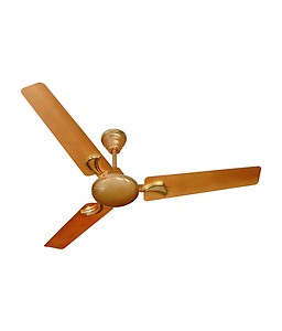 Havells Festiva 1200mm Dust Resistant Ceiling Fan (Pearl Copper) price in India.