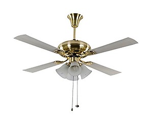 Usha Fontana Orchid 1280mm Ceiling Fan (Gold Ivory) price in India.