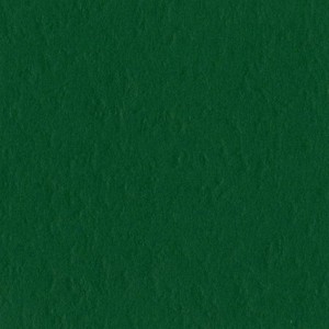 Bazzill Basics 19-5414 Prismatic Cardstock, Classic Green, 25 Sheet Pack, 8.5 x 11 Inches price in India.