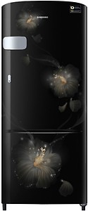 Samsung RR20N2Y2ZB3/NL 192 L INV 3 Star Direct Cool Single Door Refrigerator (Rose Mallow Black) price in India.