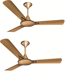 Crompton Avancer Anti Dust Cocoa Gold 3 Blade Ceiling Fan (Cocoa Gold) price in India.