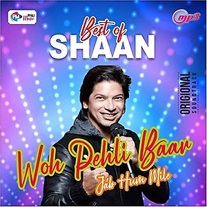 Generic Pen Drive - Best of Shaan // Bollywood // USB // CAR Song // 500 MP3 Audio // 16GB price in India.