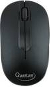 QUANTUM QHM 271 WIRELESS MOUSE Wireless Optical Gaming Mouse  (2.4GHz Wireless)