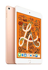 APPLE ipad Mini (2019) 256 GB ROM 7.9 inch with Wi-Fi Only (Gold) price in India.