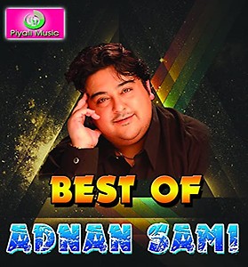 Generic Pen Drive - Adnan Sami Audio Song ?? Bollywood Song ?? Hindi Pop Song ?? Car Song ?? USB ?? 16GB price in India.