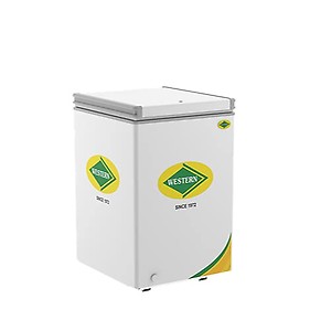 Western Deep Freezer NWHD125H price in India.