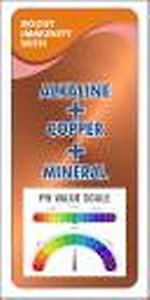 BLAIR Alfa Copper RO+UV+UF+TDS Copper Alkaline Water Purifier -12 Litres price in India.