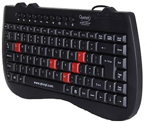 QUANTUM QHM7309 Mini Slimtek Multimedia Wired USB Laptop Keyboard  (Black) price in India.