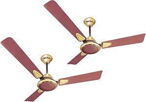 Activa 48 Ceiling Fan Galaxy-2 5 Star price in India.