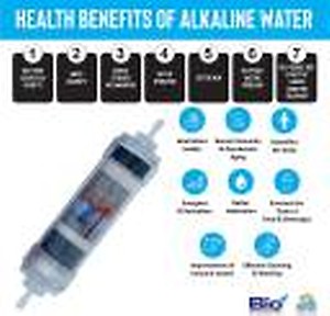 Bioplus 8" Alkaline and mineral water Filter Cartridge for Ro water purifier with antioxidant price in India.