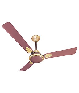 Activa 1200 mm 5 star Galaxy-2 Ceiling Fan- Brown Ivory price in India.