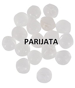 PARIJATA Big Blue Housing 10 inch for 25 Litres Water Purifier with 2 Elbow Connectors - Industrial Prefilter Housing for RO Systems - Compatible with CTO, GAC, Sediment Filters price in India.