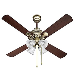 Havells Florence 1200mm Ceiling Fan (Nickel Gold) price in India.