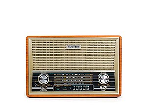 NB NoizzyBox Retro XXL 4 Band Radio Wireless Bluetooth Speaker with Remote and Equalizer (Gold) price in India.