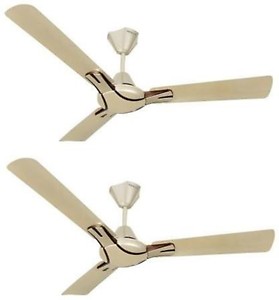 HAVELLS Nicola - Pack of 2 1200 mm 3 Blade Ceiling Fan  (Gold, Pack of 2) price in .