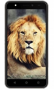 Intex Aqua lions T1 (1 GB, 8 GB, BLACK) price in India.