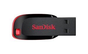 SanDisk Cruzer Blade 128GB USB 2.0 Pen Drive (Red and Black) price in .