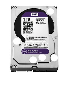 WD Purple 1 TB Surveillance Systems Internal Hard Disk Drive (HDD) (WD10PURX-64E5Y0) price in India.